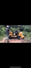 Lee's Stump Grinding & Services logo