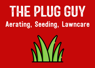 The Plug Guy logo
