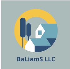Logo for BaLiamS LLC