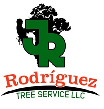 Avatar for JR Rodriguez Tree Service, LLC
