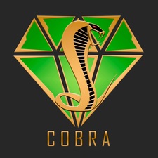 Cobra Contracting logo