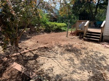 A Duarte's Tree Service & Landscaping logo