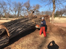 Gus Lawn & Tree Service, LLC logo