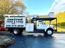 Chester Tree Care LLC logo