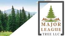 Logo for Major League Tree LLC