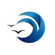 Blue Wave Power Washing Company logo