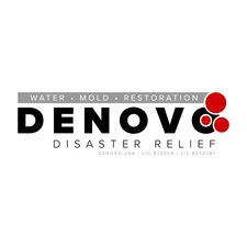Avatar for Denovo USA, LLC