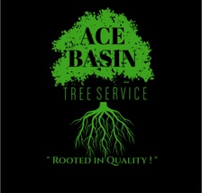 Avatar for Ace Basin Tree Services
