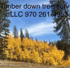 Avatar for Timber Down Tree Service