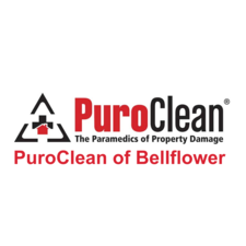 Puroclean logo