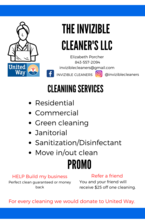 Logo for The Invizible Cleaner's LLC
