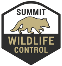 Logo for Summit Wildlife Control