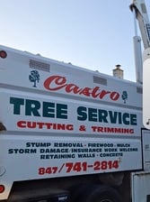 Logo for Castro's Tree Service