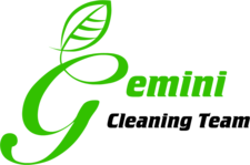 Gemini Cleaning Team logo