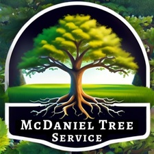 Avatar for McDaniel Tree Service