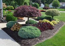 Avatar for KB Landscaping