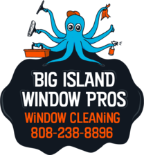 Logo for Big Island Window Pros