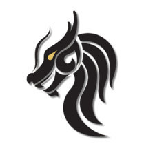 Logo for Dragon Security, LLC