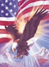 Avatar for Freedom Fence & Construction Company, Inc.
