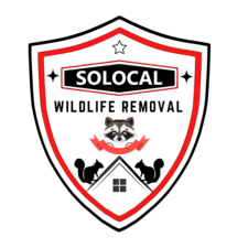 Avatar for Solocal Wildlife Removal