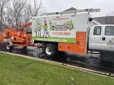 Monster Tree Service of Greater Lansing logo