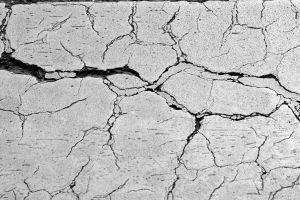 Budget Waterproofing logo