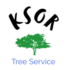 Avatar for Ksor Tree Service