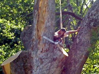 Chopper Tree Service logo