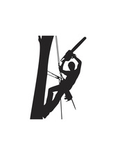 Avatar for Texas Tree Removal and Trimming