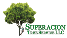 Avatar for Superacion Tree Service LLC