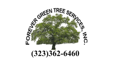 Logo for Forever Green Tree Services
