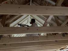 Avatar for Ameri-foam Insulation, LLC
