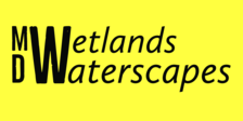 Avatar for MD Wetlands Waterscapes Contractors