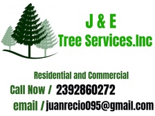 J & E Tree Services Inc logo