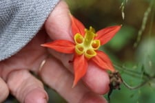 Avatar for Mygarden, LLC