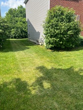 Logo for Wavers Lawn Care