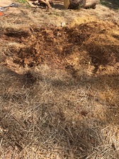 Garcia Stump Grinding logo