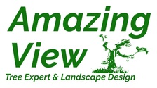 Avatar for Amazing View