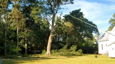Avatar for Beaver's Tree Service And Home Repair