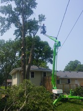 Logo for Northwest Tree Service, LLC