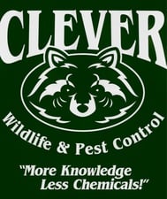 Avatar for Clever Wildlife and Pest Control