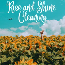 Avatar for The Rise and Shine Cleaning