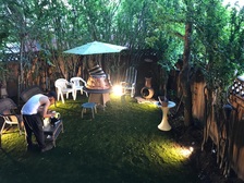 Avatar for Payless Handyman Services & Landscaping