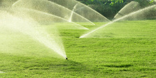 Avatar for Next Level Lawn & Irrigation Service