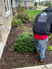 Avatar for Daniel's Landscaping