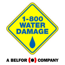 Logo for 1-800 WATER Damage of Wilmington