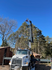 Logo for B & H Tree Service, LLC