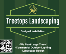 Avatar for Tree Tops Established Landscaping