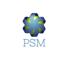 Logo for PSM Investments, LLC