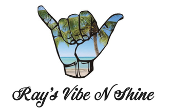 Rays Vibe N Shine logo